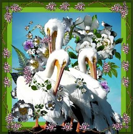 Pelican World, 2024, archival pigment print. Carolyn Brown, American, born 1936. Courtesy of the artist, L2024.2.5 
