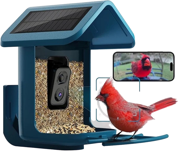 Camera Bird Feeder