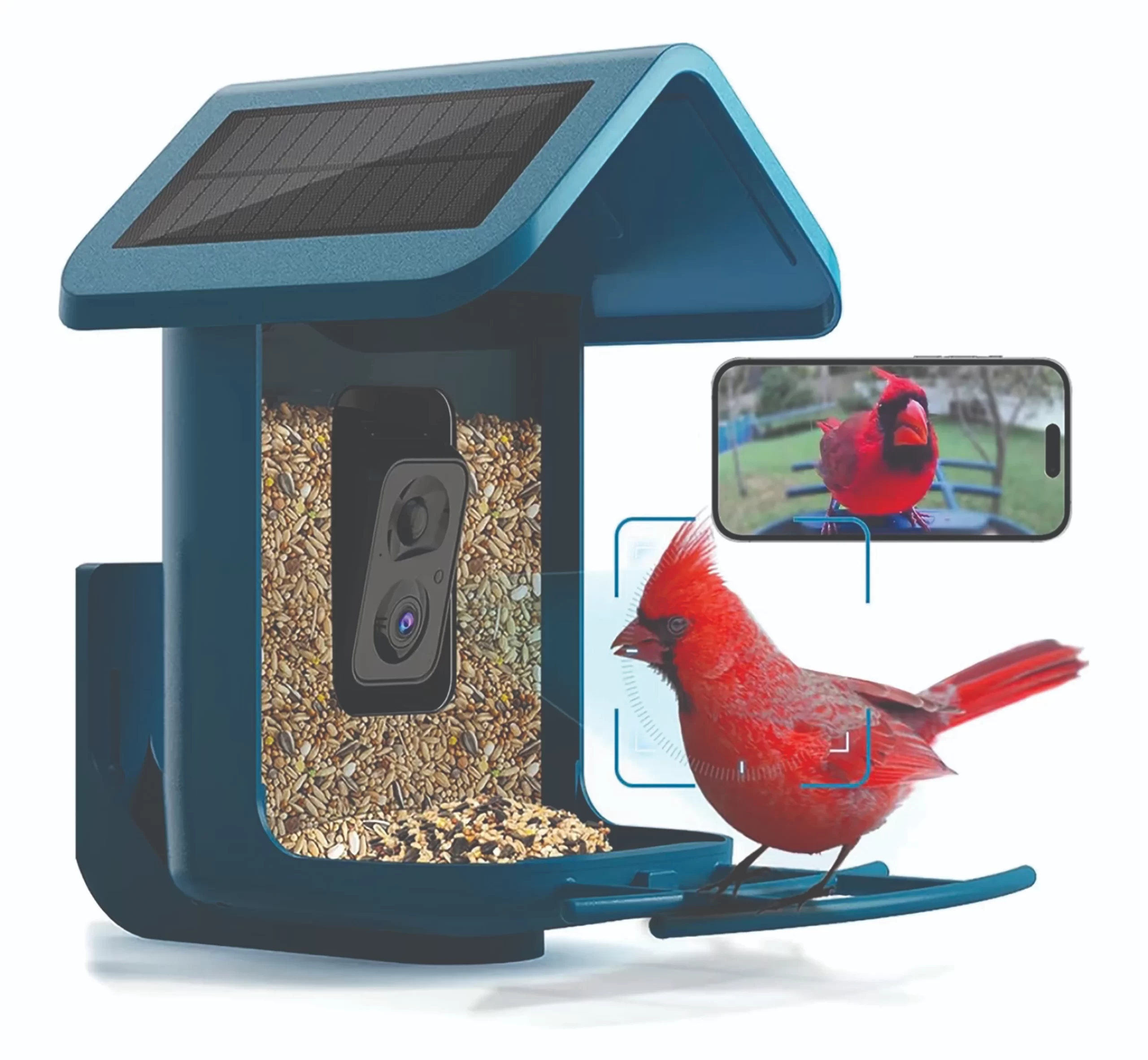 Video Bird Feeder